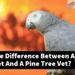 What Is The Difference Between A Regular Vet And A Pine Tree Vet?