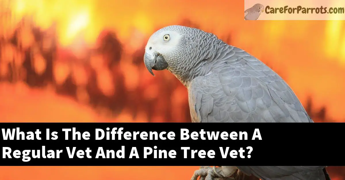 What Is The Difference Between A Regular Vet And A Pine Tree Vet?