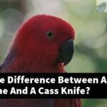 What Is The Difference Between An Alexandrine And A Cass Knife?