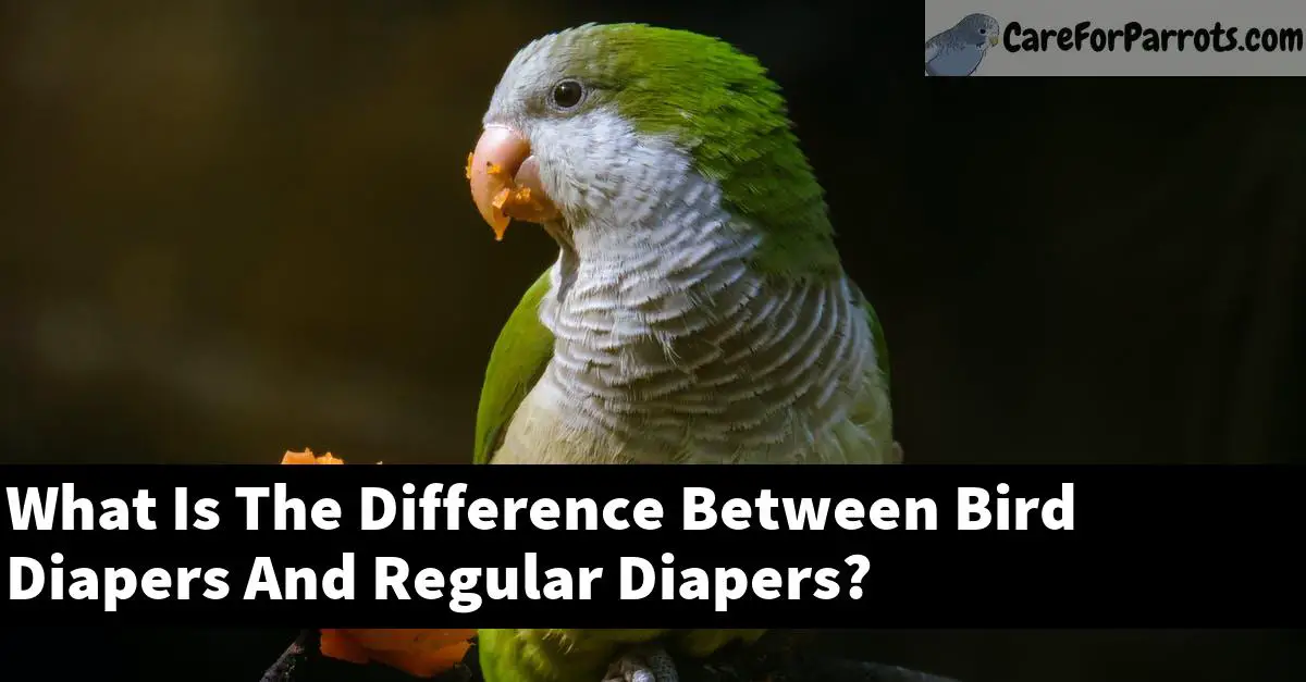 What Is The Difference Between Bird Diapers And Regular Diapers?