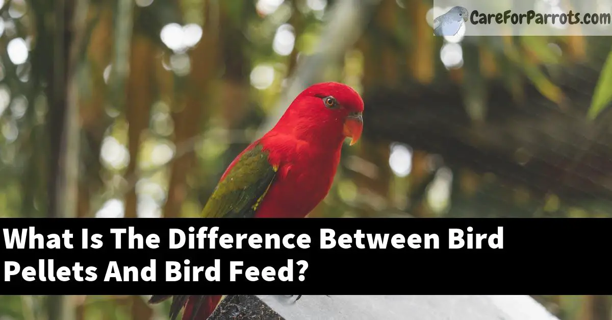 What Is The Difference Between Bird Pellets And Bird Feed?