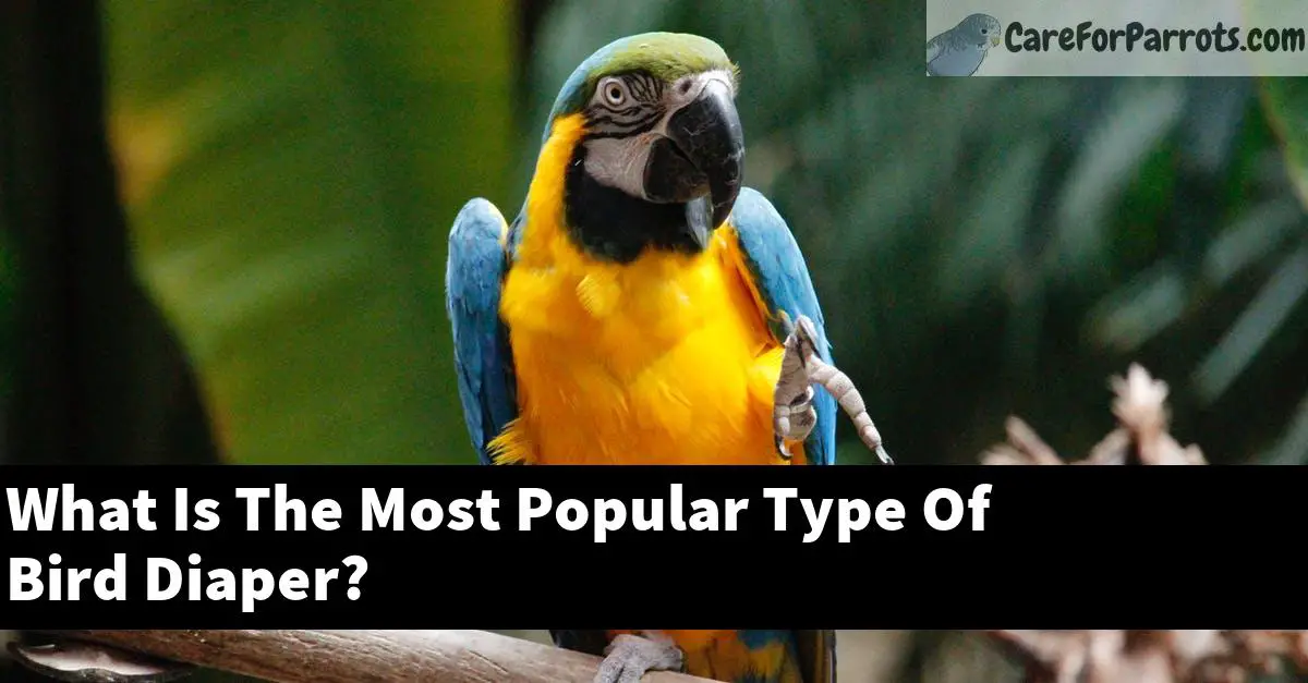 What Is The Most Popular Type Of Bird Diaper?
