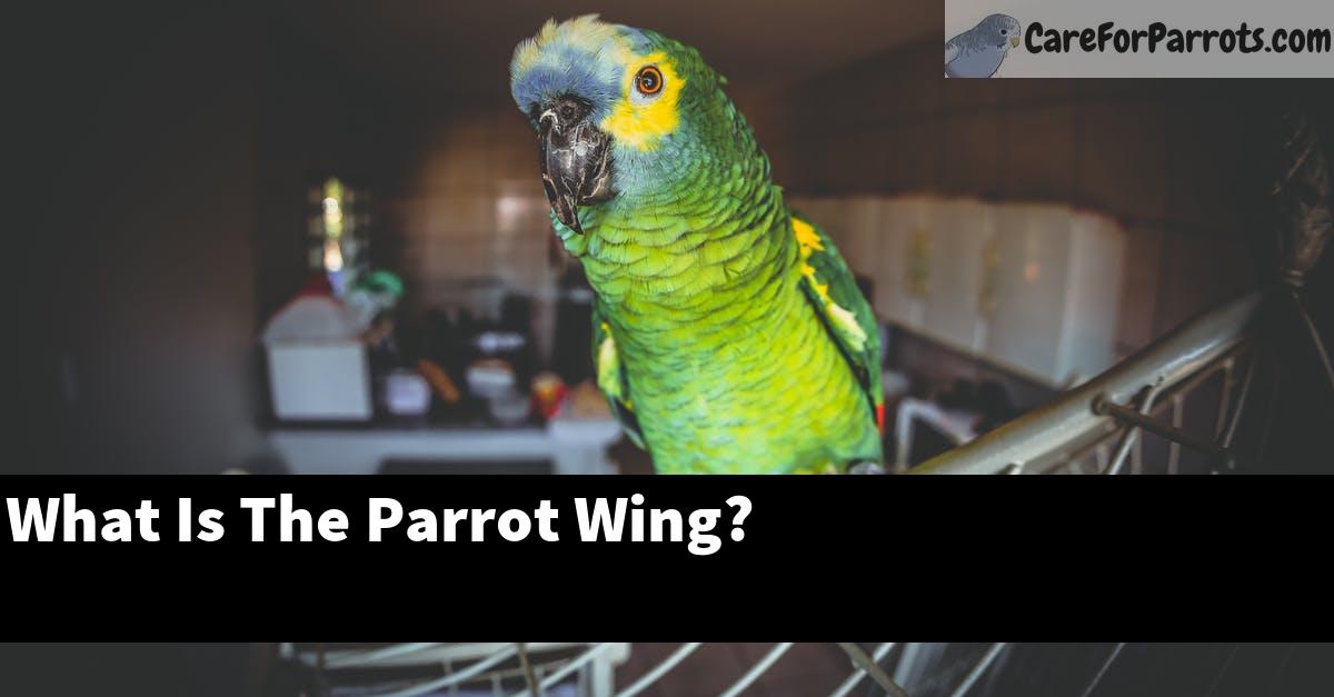 What Is The Parrot Wing?