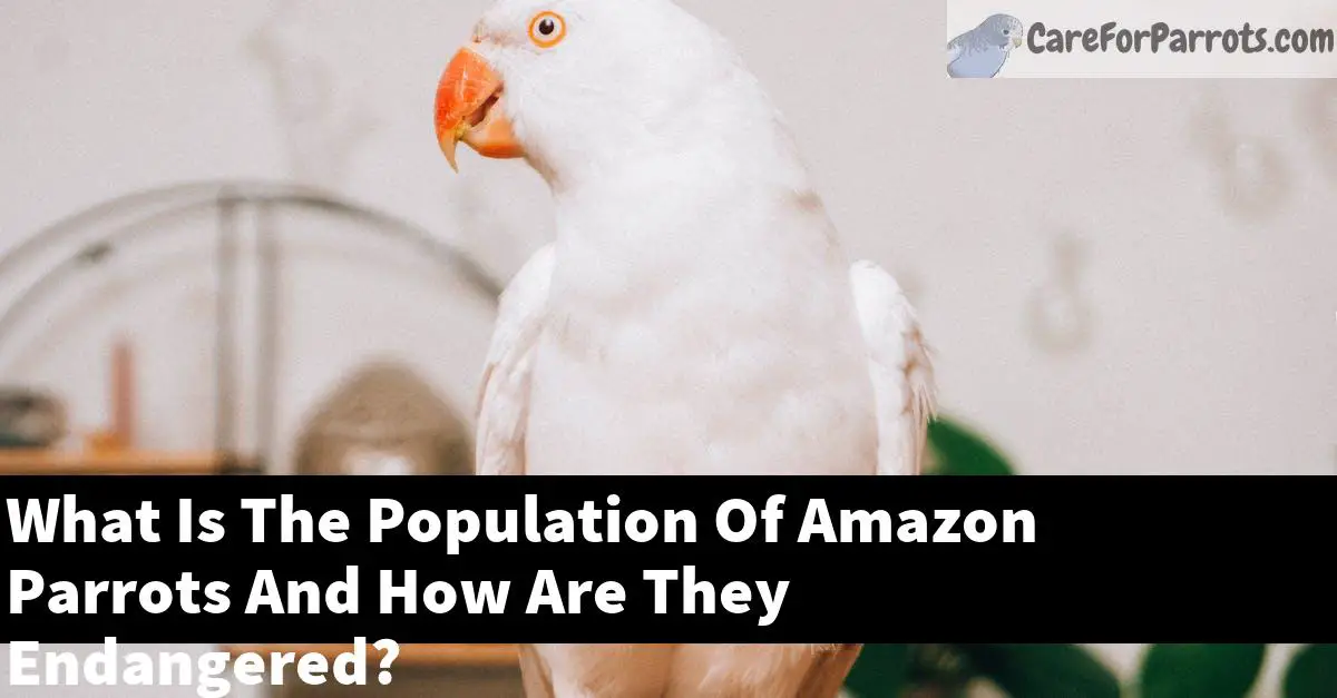 What Is The Population Of Amazon Parrots And How Are They Endangered?