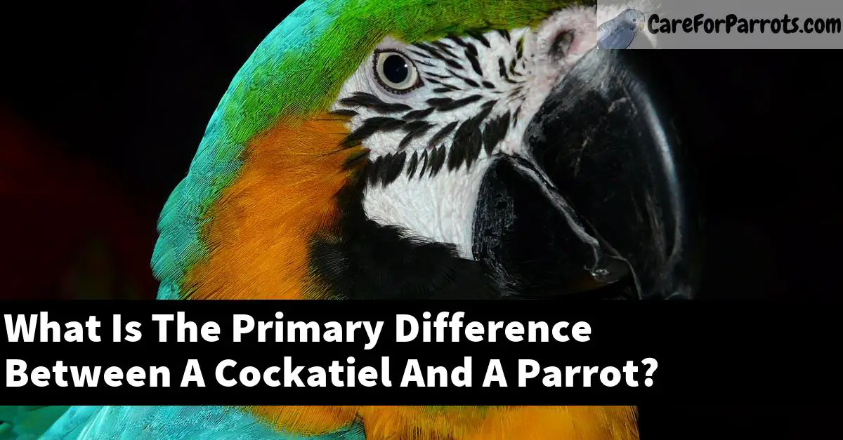What Is The Primary Difference Between A Cockatiel And A Parrot?