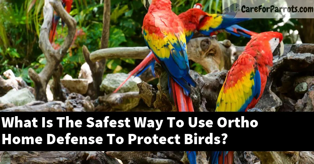 What Is The Safest Way To Use Ortho Home Defense To Protect Birds?
