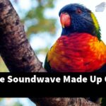 What Is The Soundwave Made Up Of?