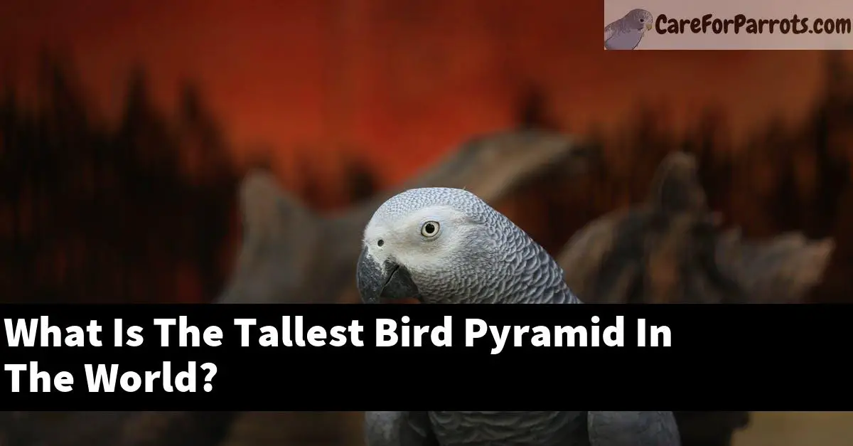 What Is The Tallest Bird Pyramid In The World?