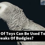 What Kind Of Toys Can Be Used To Trim The Beaks Of Budgies?