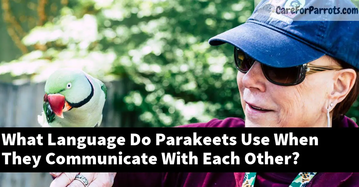 What Language Do Parakeets Use When They Communicate With Each Other?