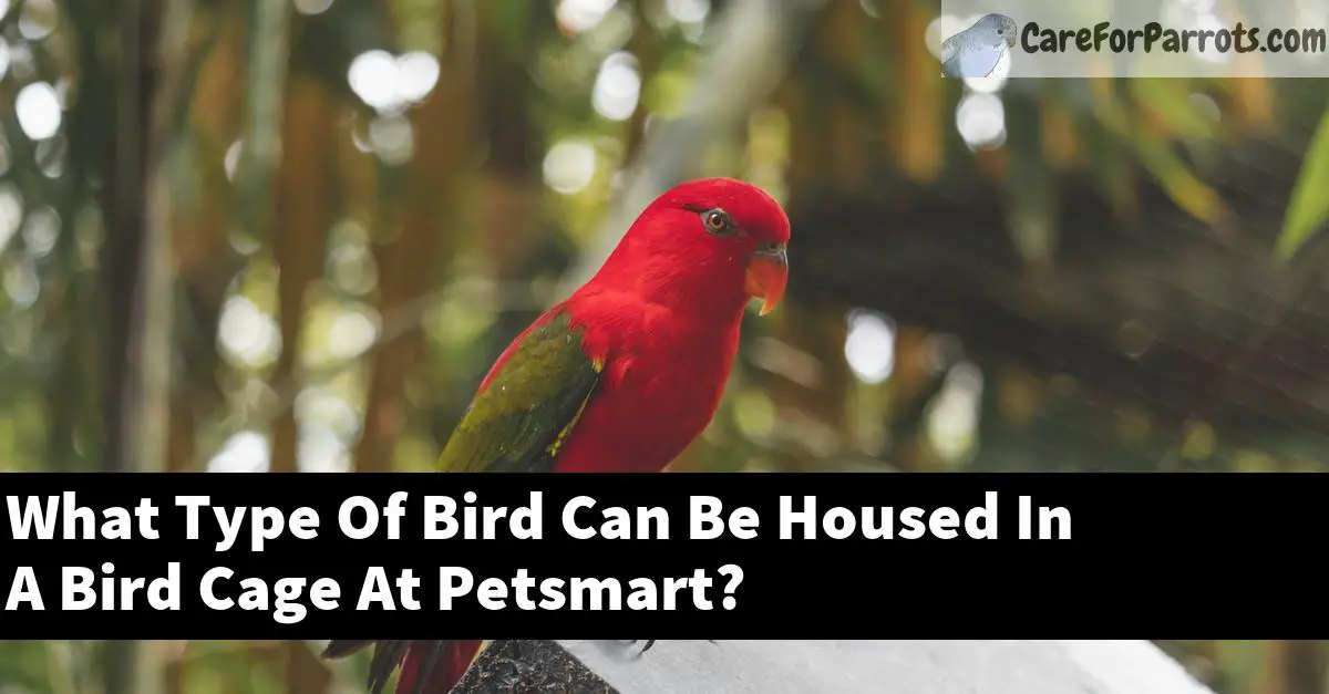 What Type Of Bird Can Be Housed In A Bird Cage At Petsmart?