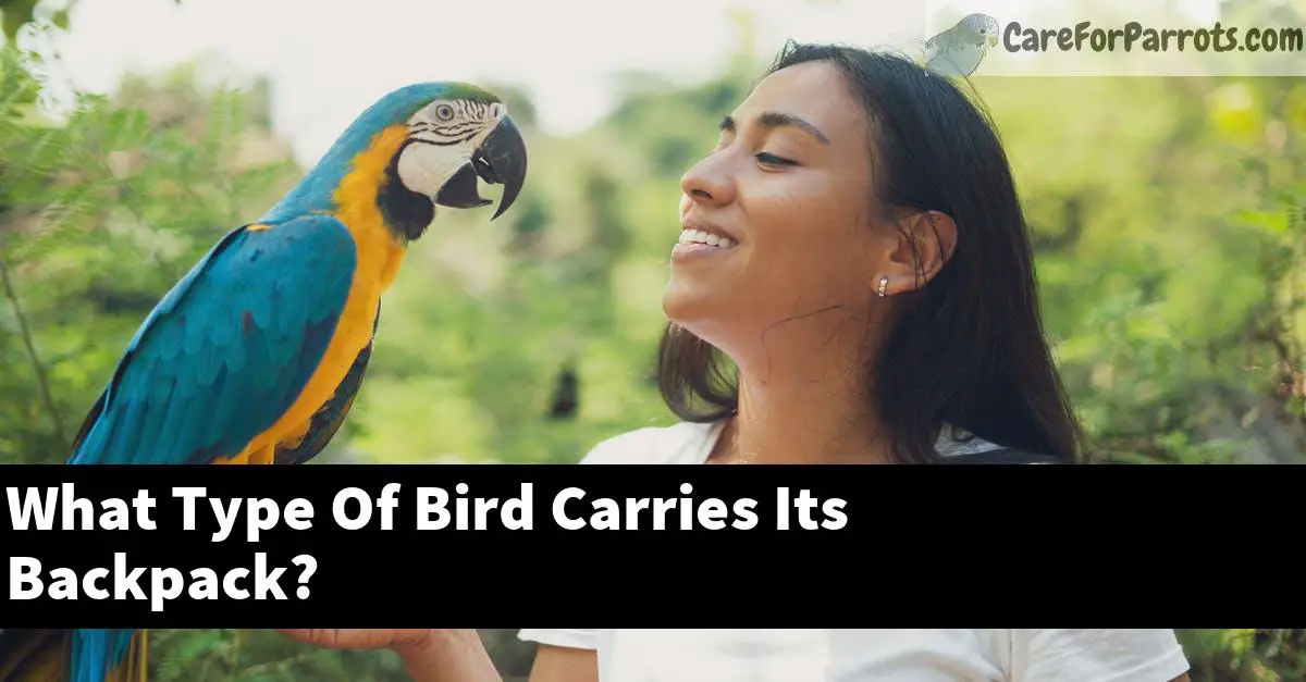 What Type Of Bird Carries Its Backpack?