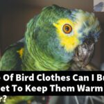 What Type Of Bird Clothes Can I Buy My Parakeet To Keep Them Warm In The Winter?
