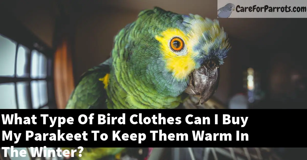 What Type Of Bird Clothes Can I Buy My Parakeet To Keep Them Warm In The Winter?