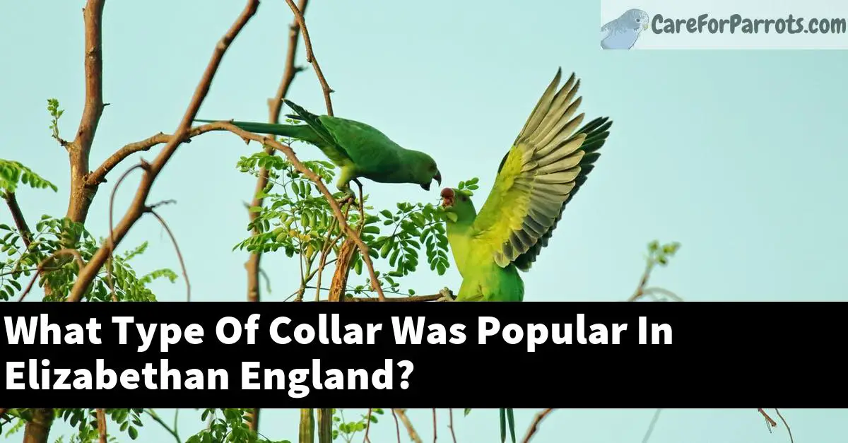 What Type Of Collar Was Popular In Elizabethan England?