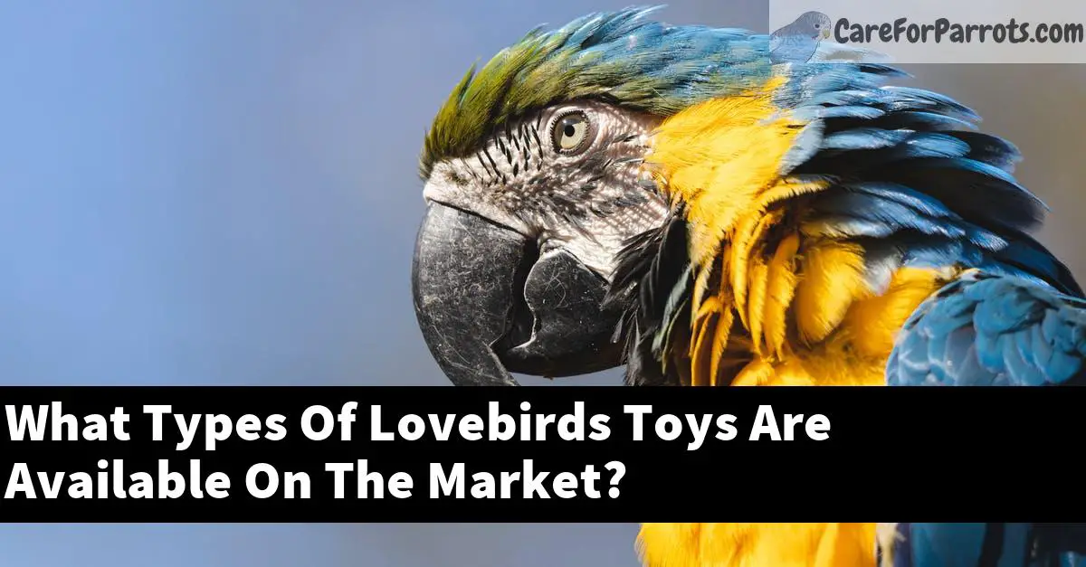 What Types Of Lovebirds Toys Are Available On The Market?