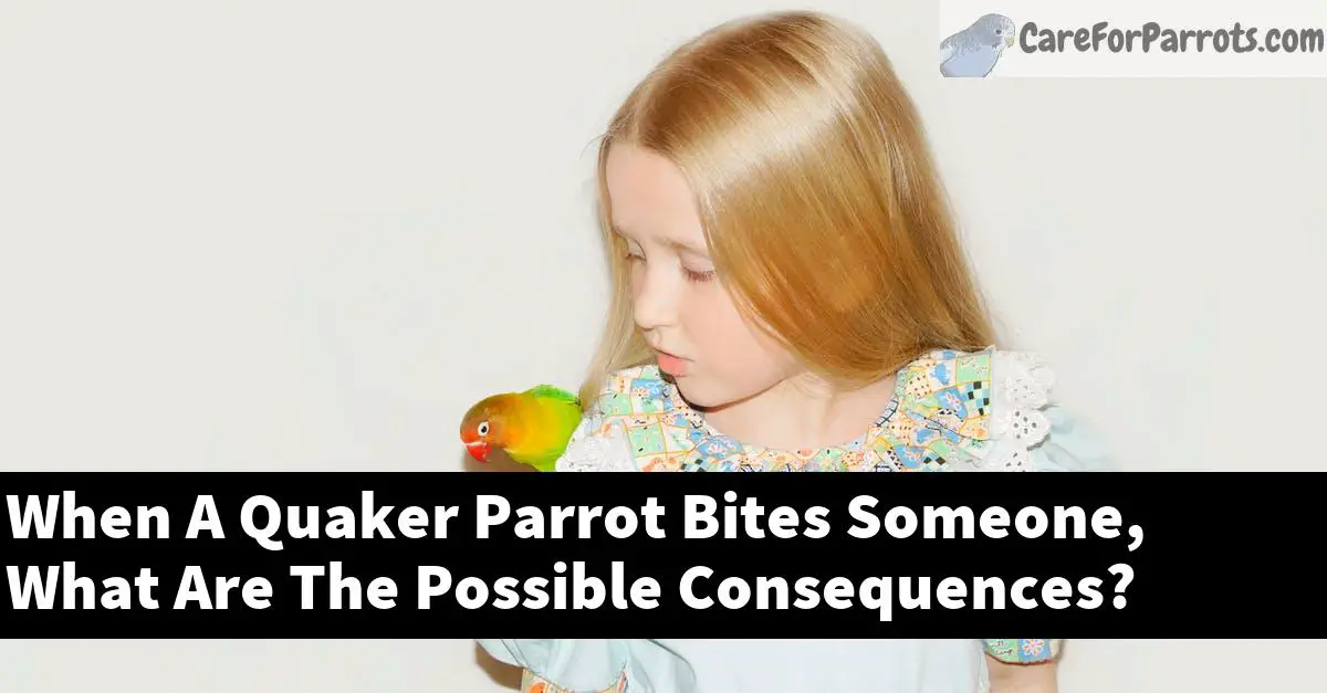 When A Quaker Parrot Bites Someone, What Are The Possible Consequences?