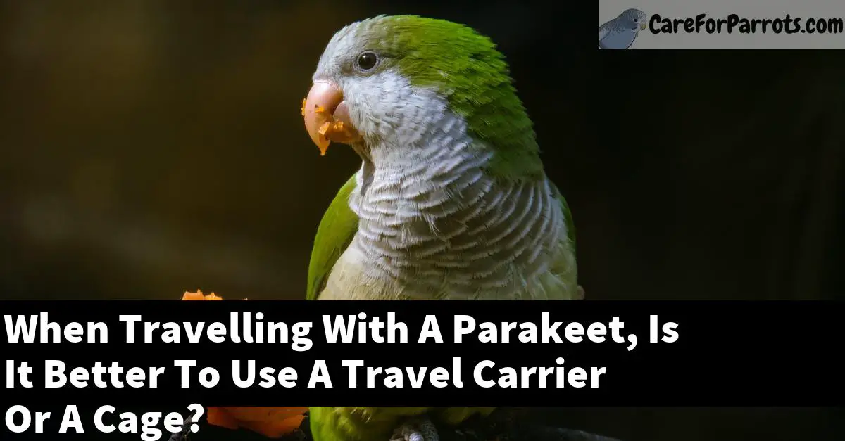 When Travelling With A Parakeet, Is It Better To Use A Travel Carrier Or A Cage?